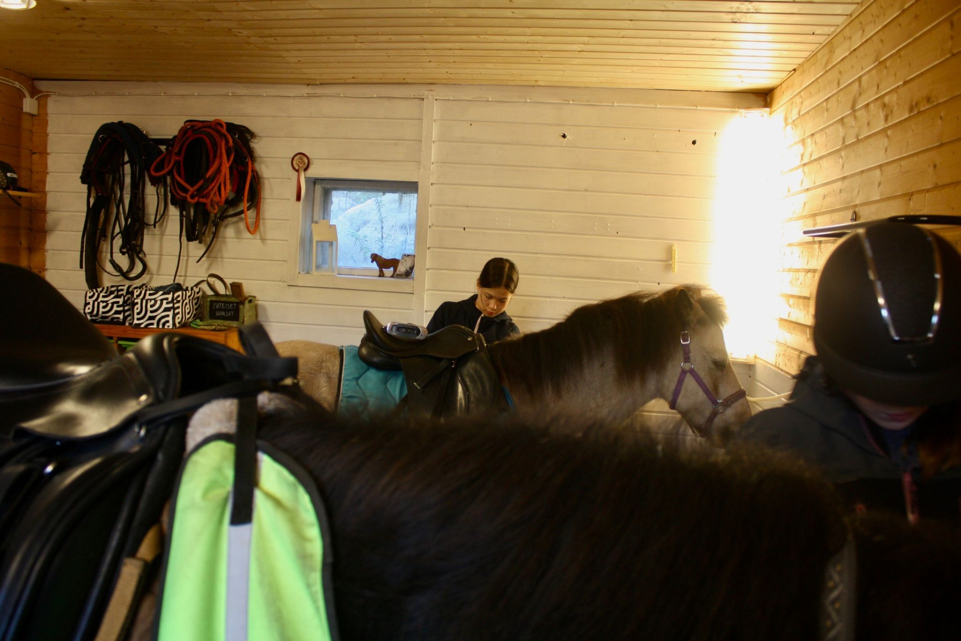 Tallissa on kolmelle ponille hoitopaikat